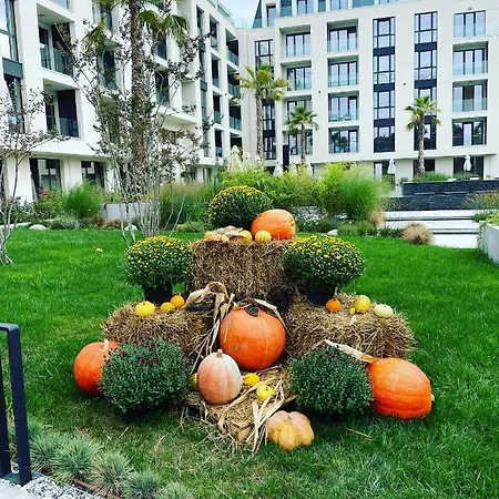 Helena B سينتس قسطنطين وهيلينا